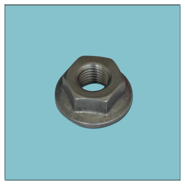 FLANGE NUTS